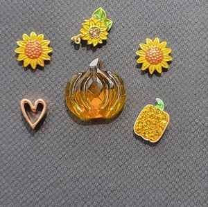 Origami Owl set of 6 Fall Harvest Charms